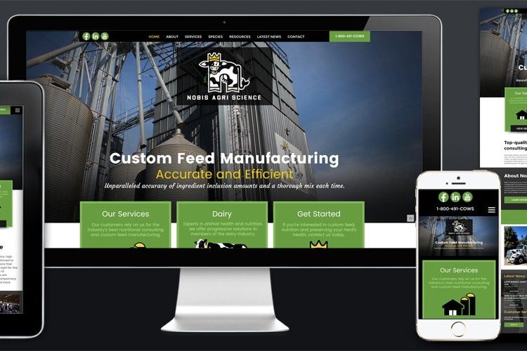 nobis-web-design-min